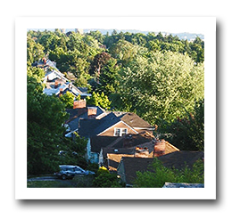 Tree-lined Neighborhood